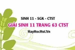 Giải Sinh 11 trang 63 Chân trời sáng tạo SGK